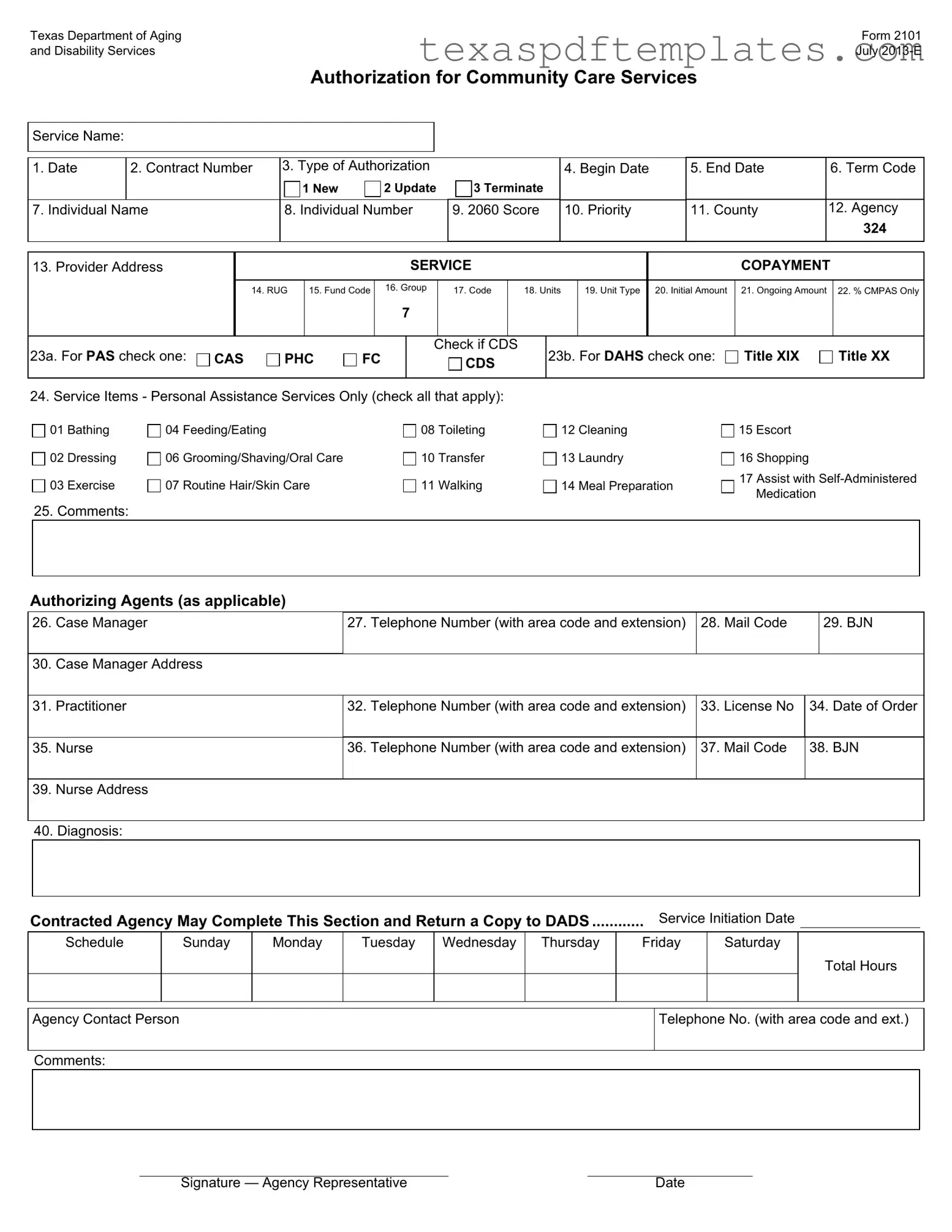 Blank 2101 Texas PDF Template