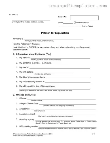 Blank Petition Expunction Texas PDF Template