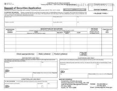 Blank Texas 00 132 PDF Template