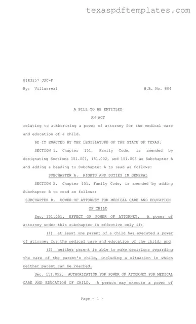 Blank Texas Child Power of Attorney PDF Template