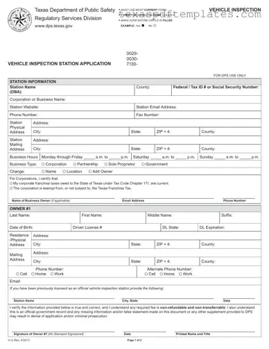 Blank Texas Dps Vi 2 PDF Template