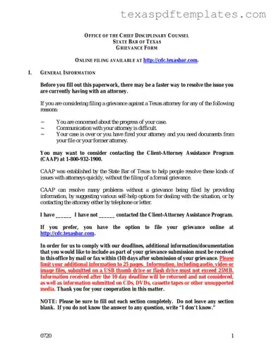 Blank Texas Grievance PDF Template