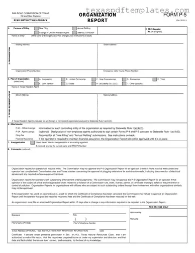 Blank Texas P 5 PDF Template
