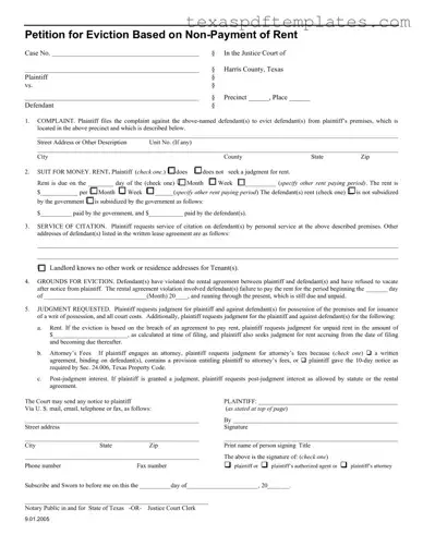 Blank Texas Petition Eviction PDF Template
