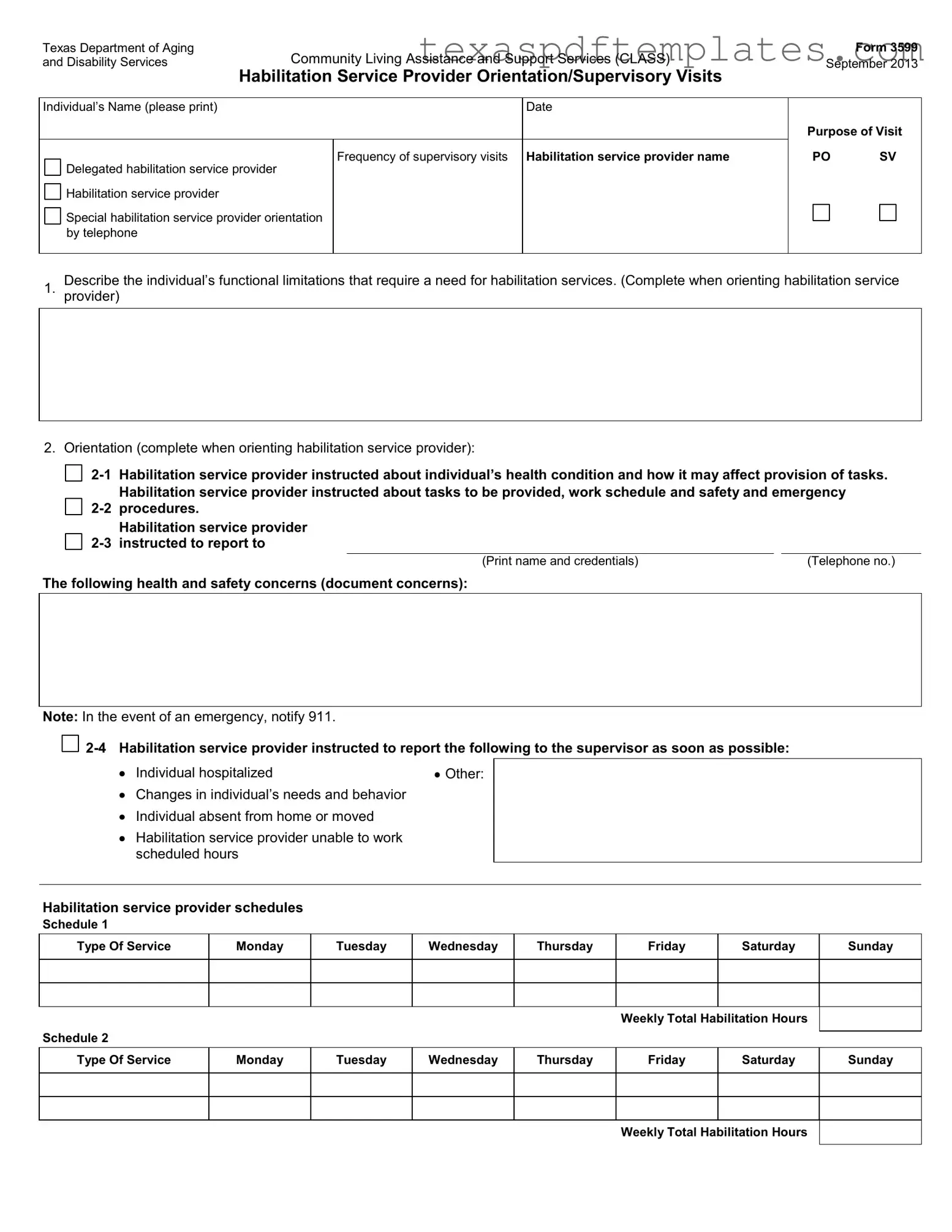Blank Texas 3599 PDF Template
