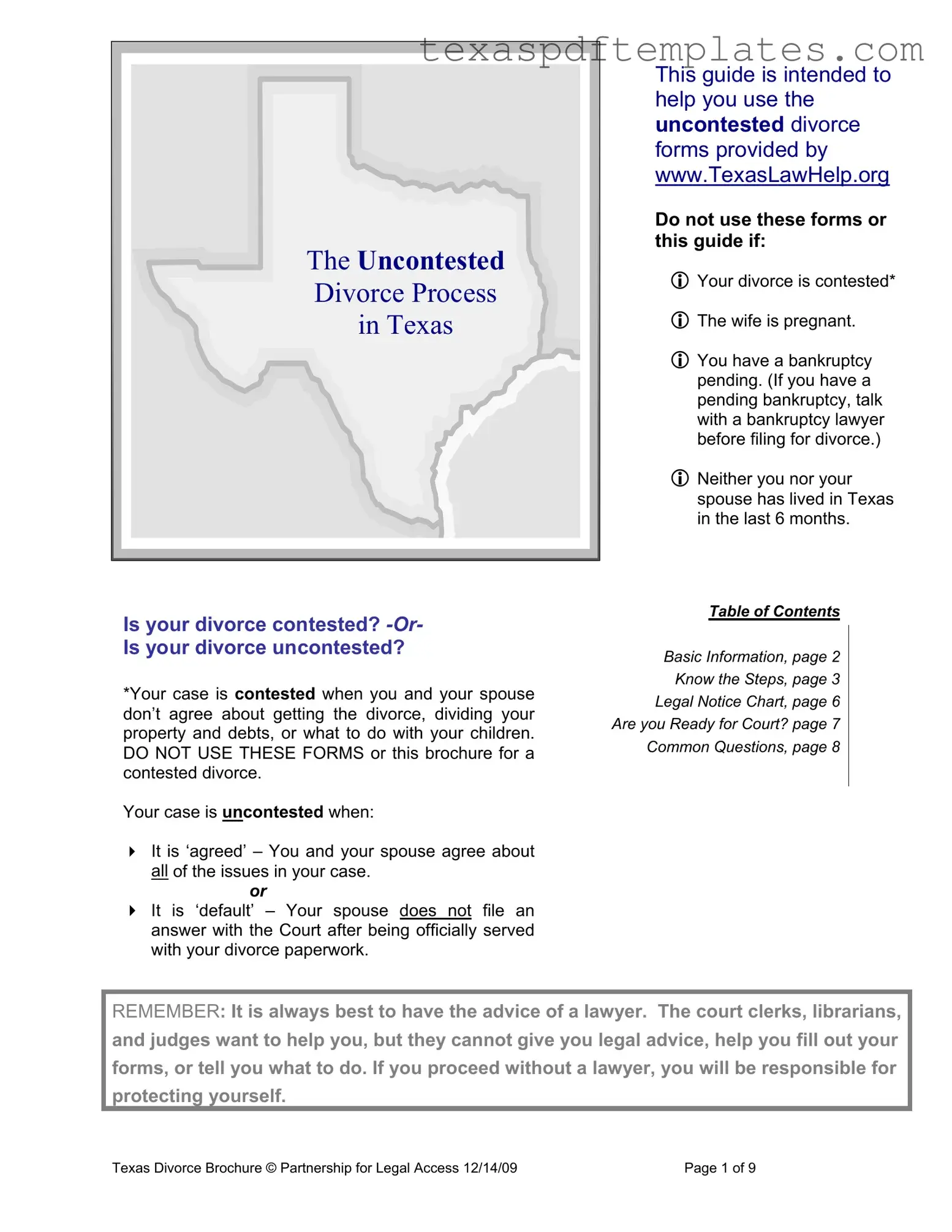 Blank Texas Divorce PDF Template
