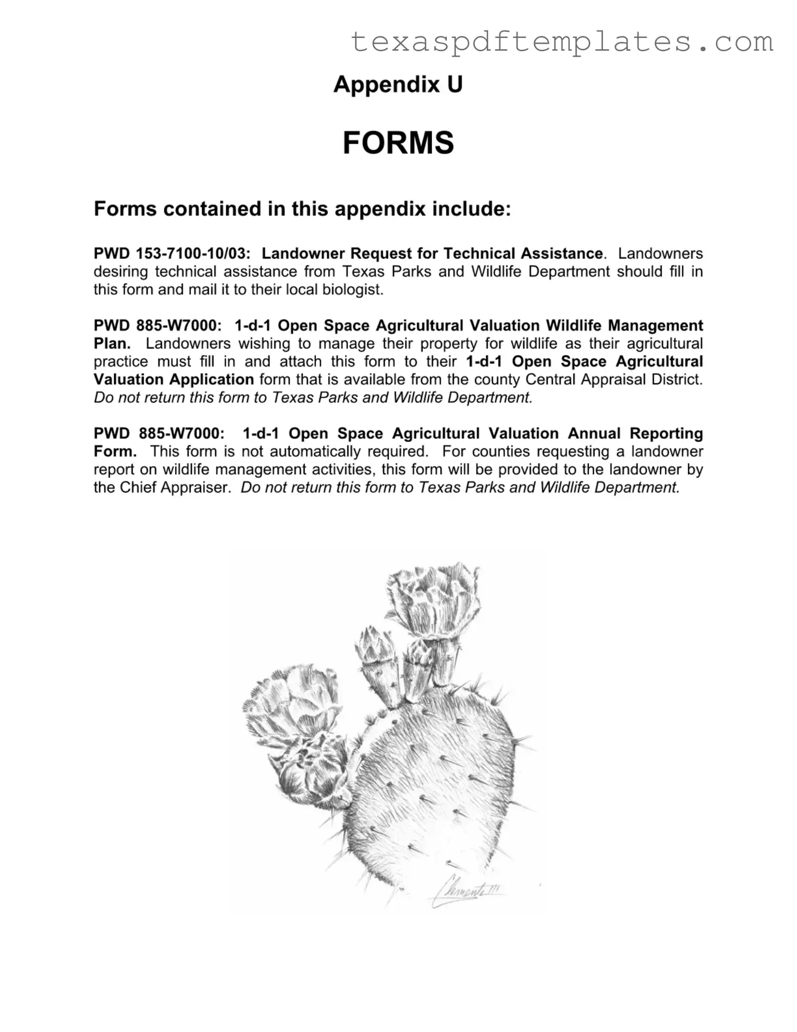 Blank Texas Pwd PDF Template